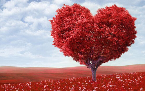 Valentines Day Encouragement